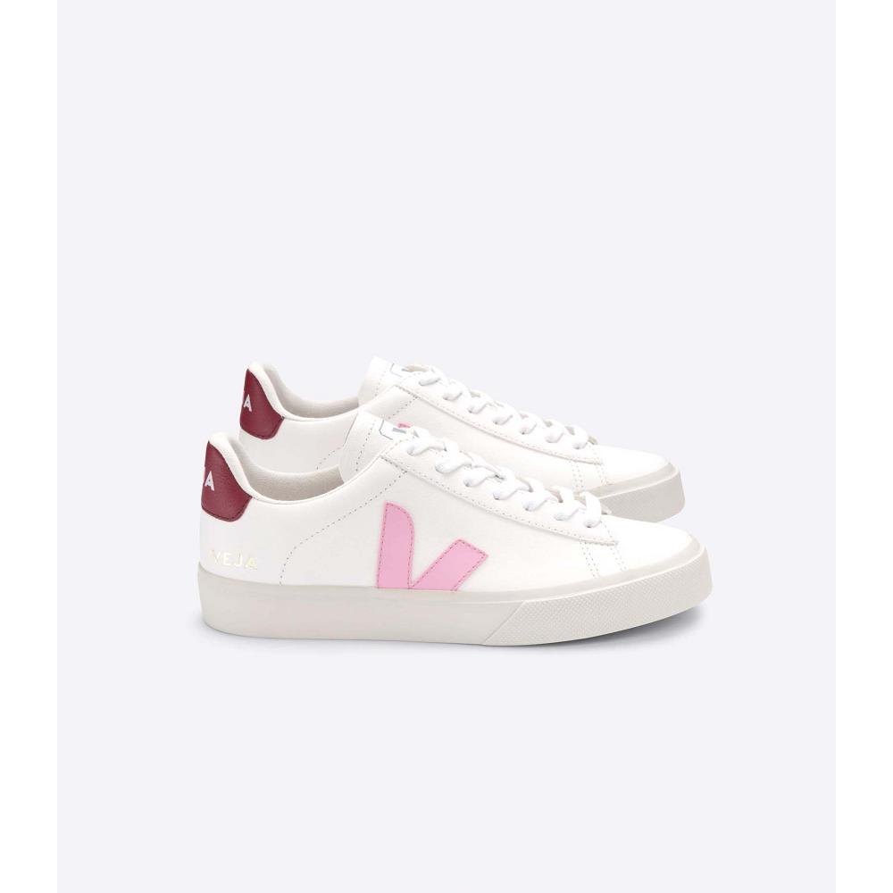 Men\'s Veja CAMPO CHROMEFREE Low Tops Sneakers White/Pink | SG 193WNB